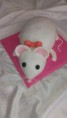 /album/torty/a565787-603458379674487-1861964825-n-jpg1/